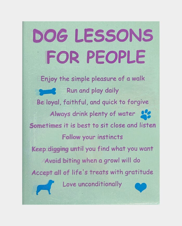 Dog Lessons for People Magnet