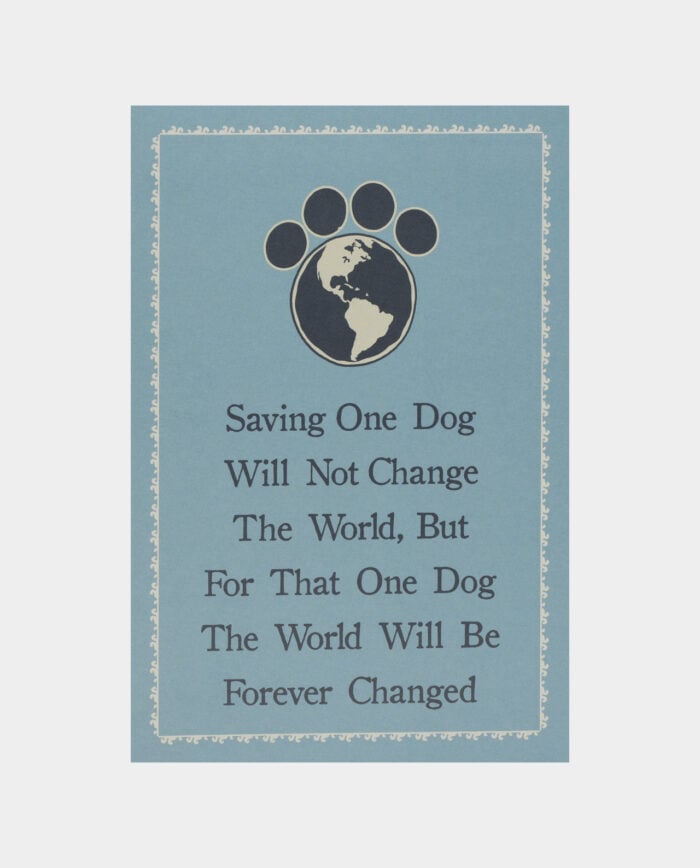 Saving One Dog