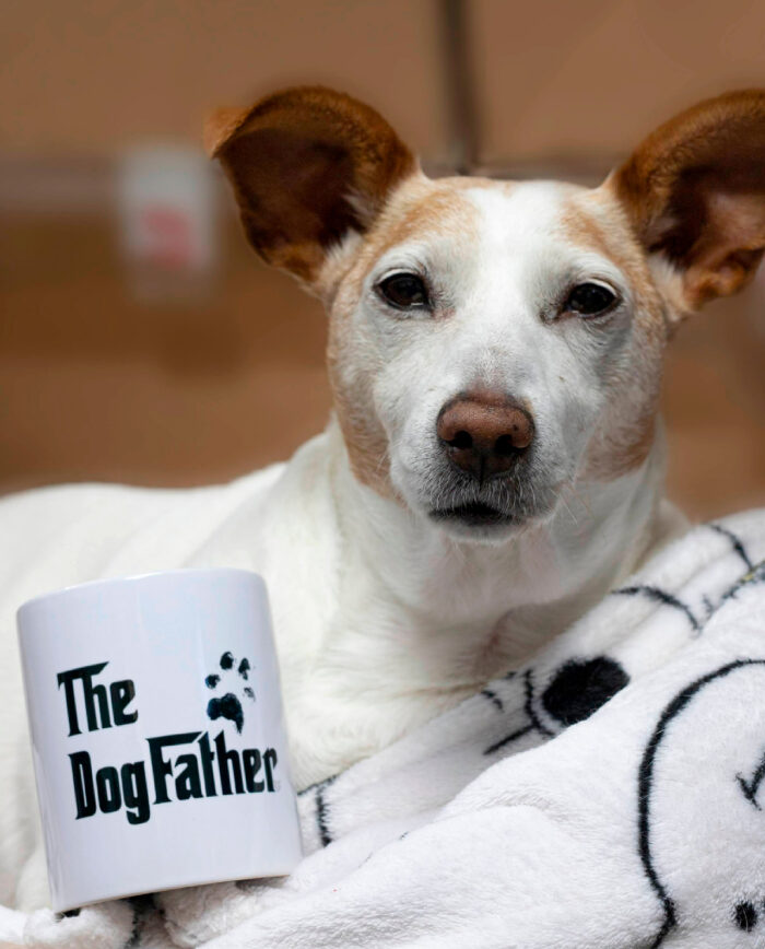 The DogFather Mug with Penny