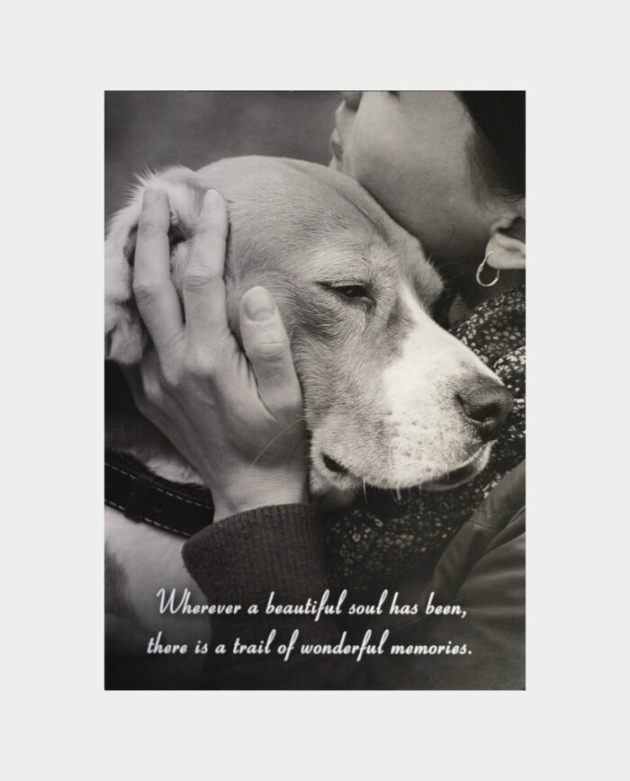 Wherever a beautiful soul has been