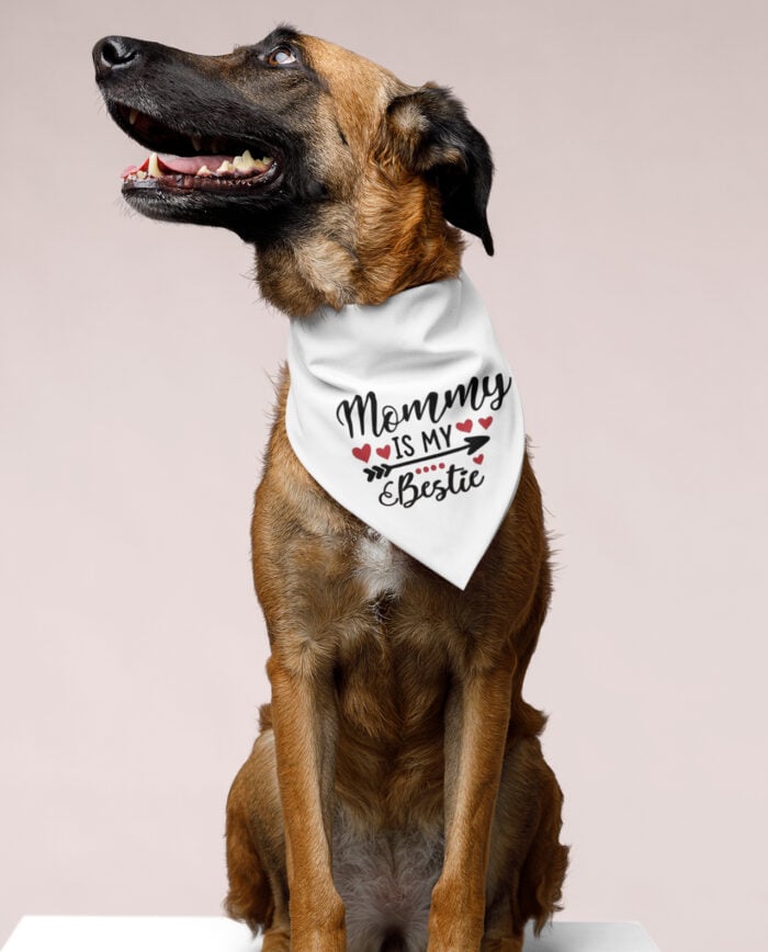 Bandana Mommy is my Bestie