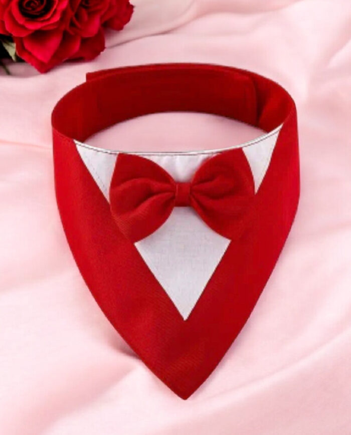 Dog Tux Bandana - Red