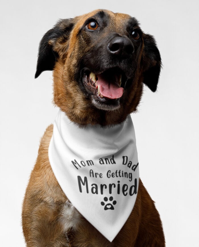 Wedding Bandana for Dogs