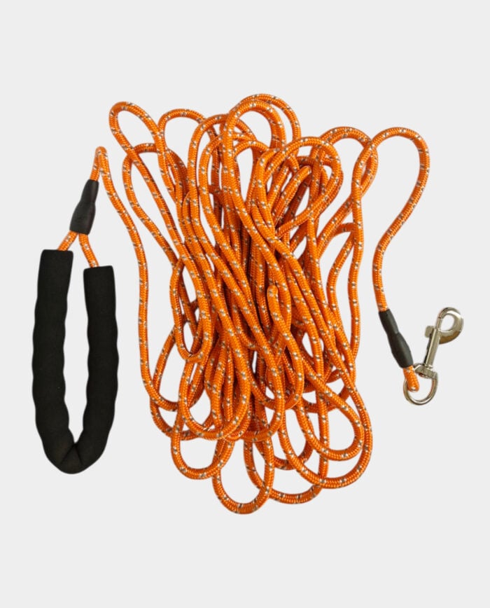 Adventure Dog Lead