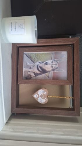 Rotating Pet Remembrance Photo Frame photo review