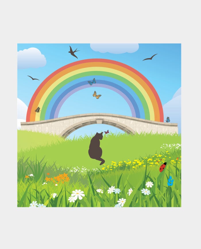 Cat Sympathy Card - The smallest feet leave the biggest footprints in our hearts