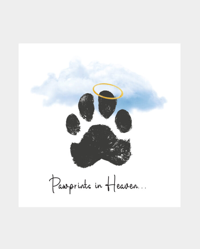 Pawprints in Heaven Sympathy Card