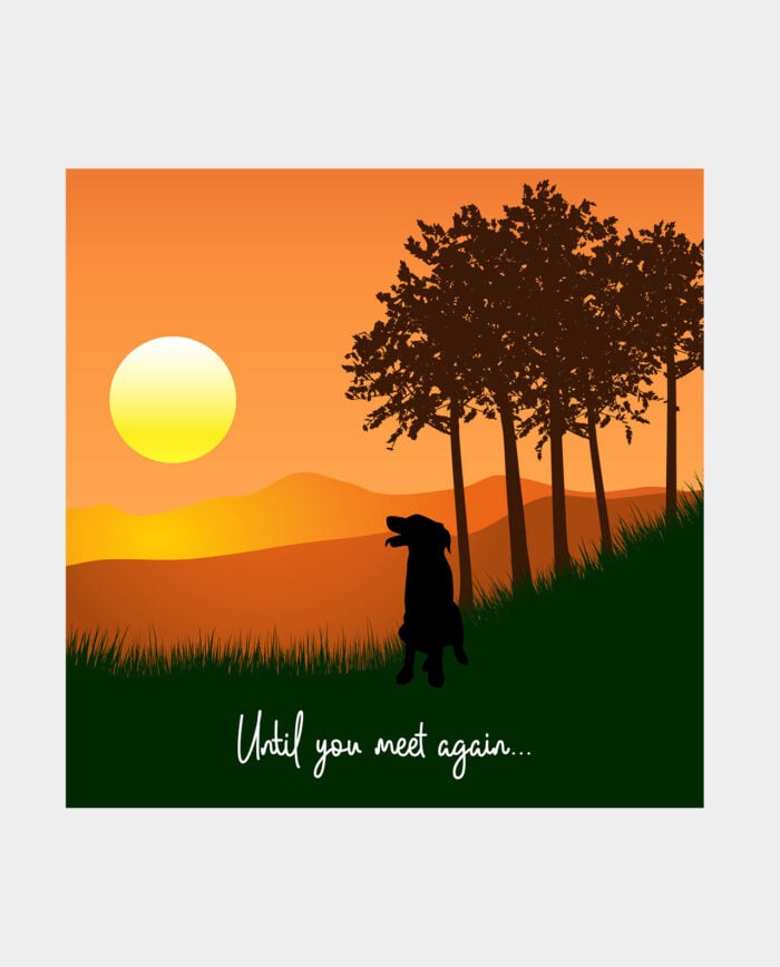 Dog Sympathy Card - Until you meet again sympathy card