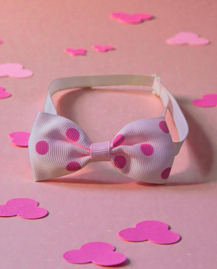Dog Bow Tie Pink